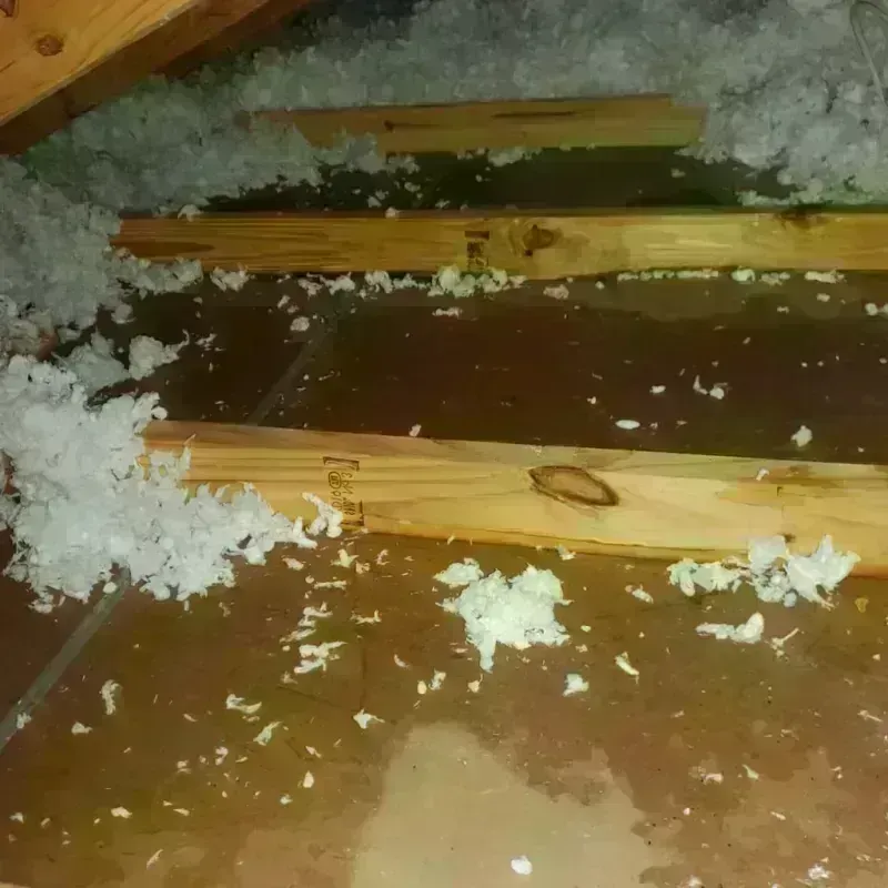 Attic Water Damage in Roundup, MT