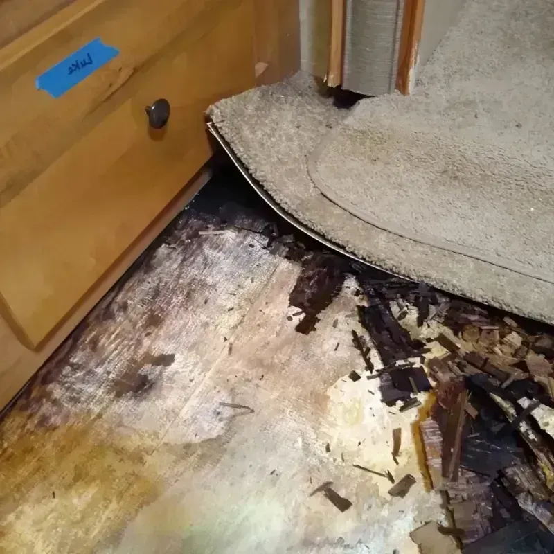 Wood Floor Water Damage in Roundup, MT